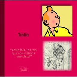 Les personnages : Tintin