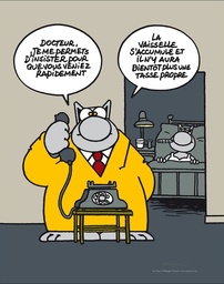 Geluck - Le chat DOCTEUR (Affiche 50X40 sous tube)