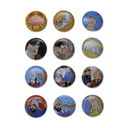 Badge Tintin - Badges métal - divers