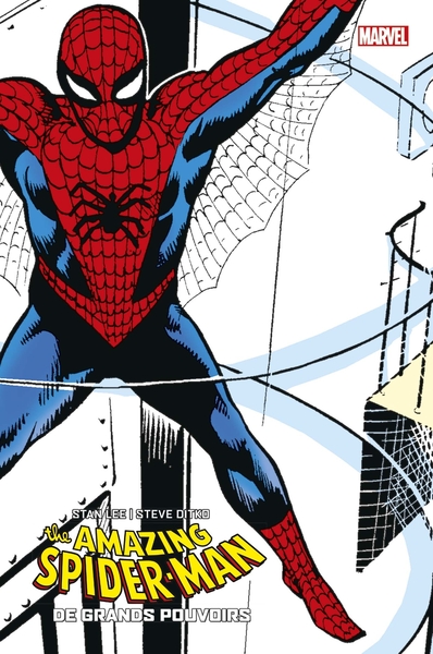 The Amazing Spider-Man - De grands pouvoirs - TL