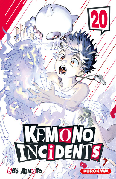 Kemono Incidents - T20