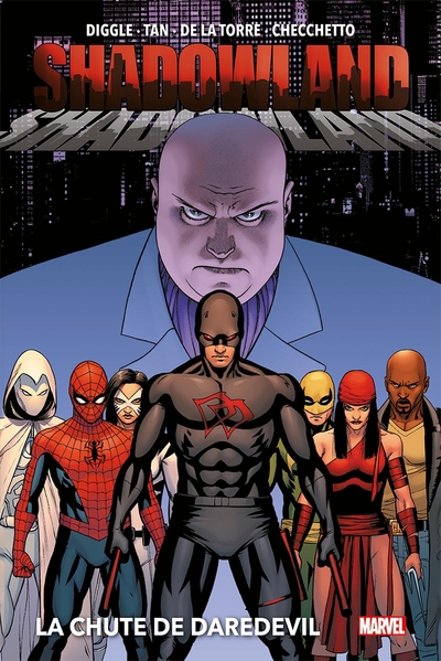 Daredevil - Shadowland - La chute de Daredevil