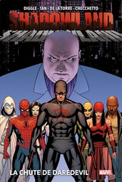 Daredevil - Shadowland - La chute de Daredevil